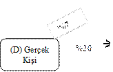 Resmî metindeki şekil veya cetvel