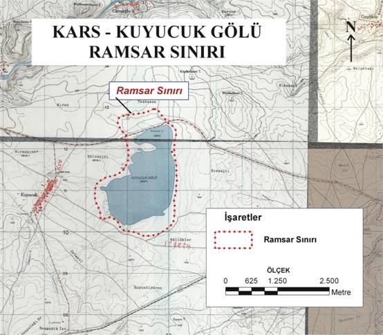 Resmî metindeki şekil veya cetvel