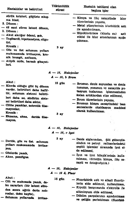 Açıklama: 2065