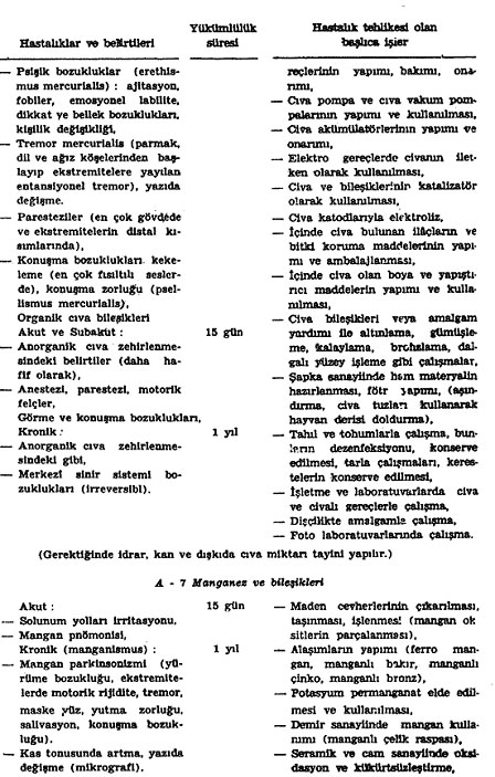 Açıklama: 2055
